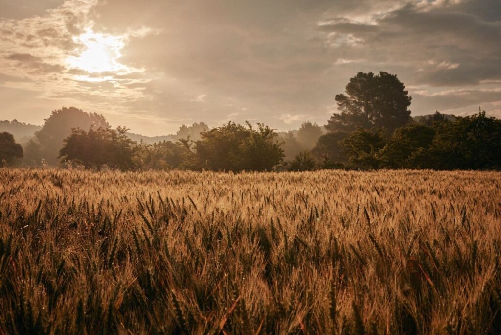 ekologia-w-spa-six-senses-zrownowazone-spa-